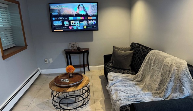 Modern basement apartment getaway