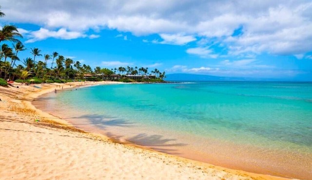 Modern Beautiful 1BR Napili Bay Get-Away Condo