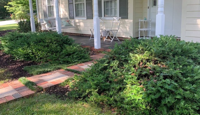 Modern & Bright 3-bedroom house in Greenville between airport & downtown w/WiFi