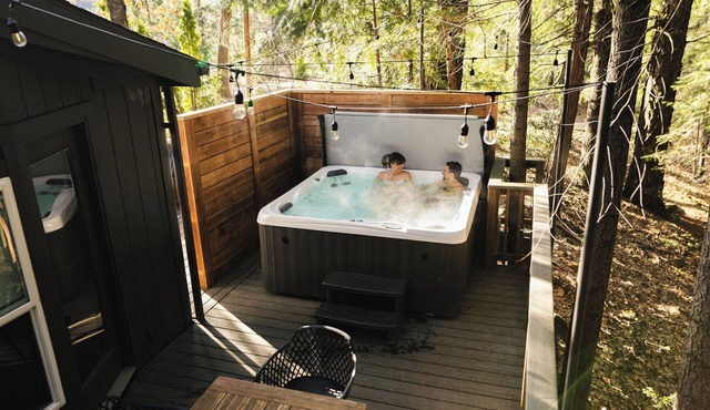 Modern Cabin (Aspen)