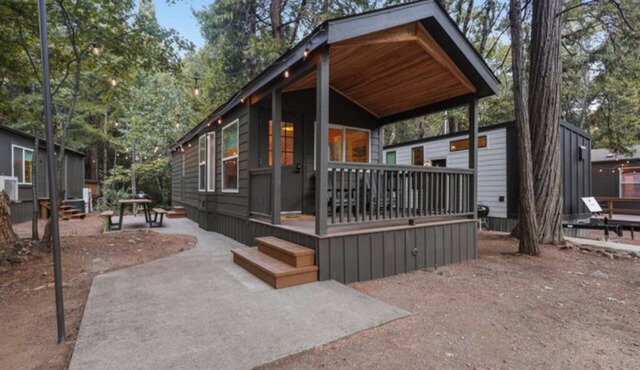 Modern Cabin - (Elm)