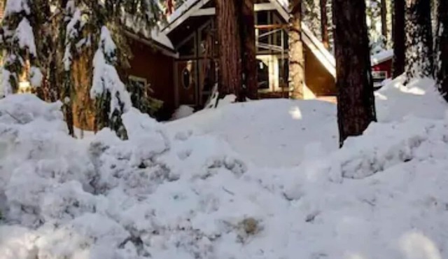 Modern Cabin Get Away