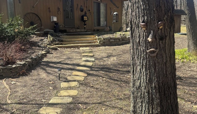 Modern Cabin in the Woods with WiFi, AC