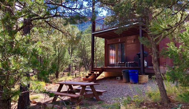 Modern Cabin In The Woods