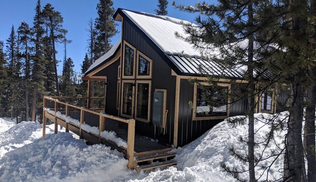 Modern Cabin on 41 Private Acres of Spruce and Pine Forest