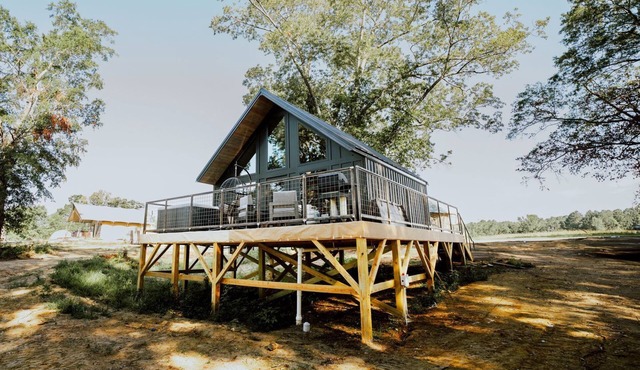 Modern Cabin on Weiss Lake, Cedar Bluff, Alabama