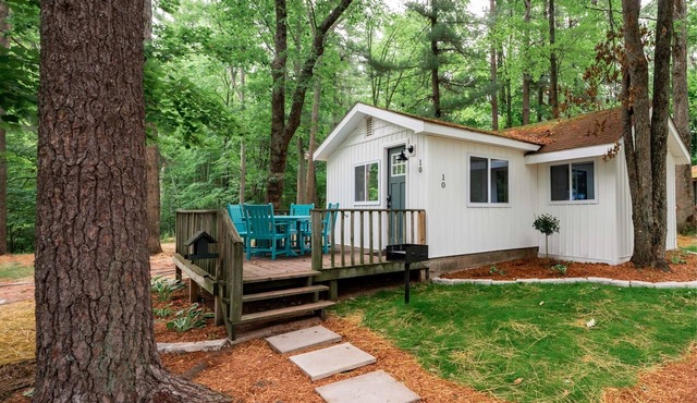 Modern Cabin Retreat l Arbutus Lake l Close to TC!