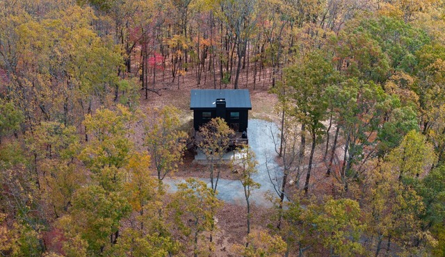 Modern Cabin Secluded Wilderness Escape