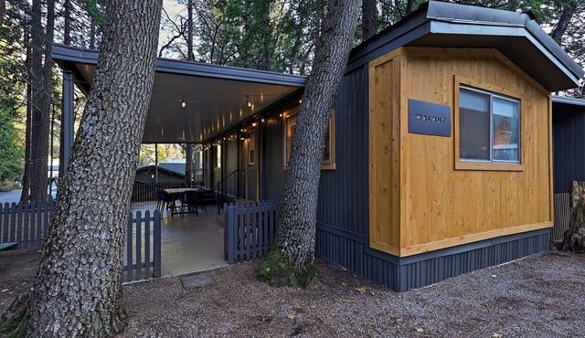 Modern Cabin (Walnut)