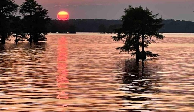 Modern Camper for rent at Caddo Lake with Kayaks, Caddo Lake Cabins, Oil City, La.