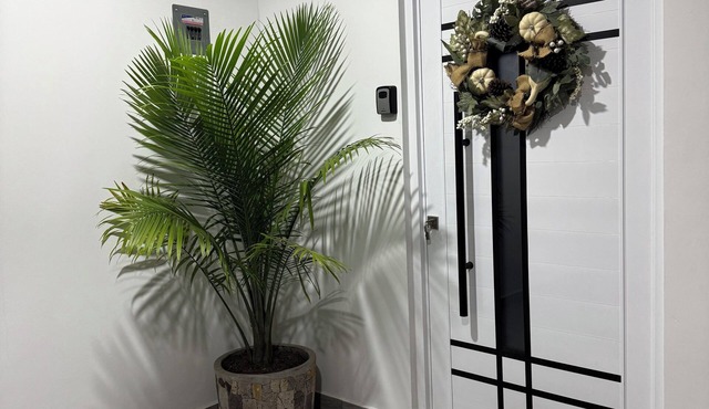 Modern, Centrally Located and Cozy | All New