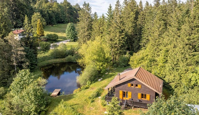 Modern chalet with fireplace and pets welcome near Gérardmer