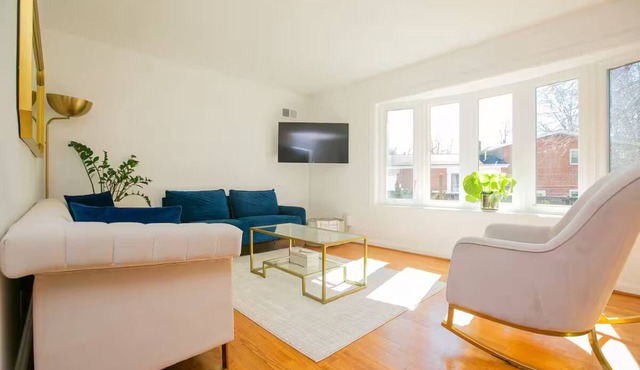 Modern Chic Home W/Lots Of Natural Light Near DC