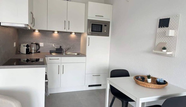 Modern City Studios in Basel with Basel Card