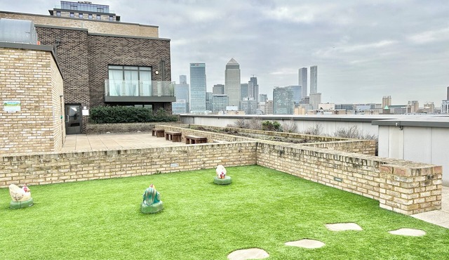 Modern clean apartment with gym & rooftop