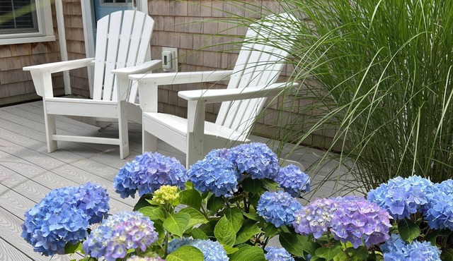 Modern, coastal cottage, AC, beaches, tennis, golf, restaurants, bike trail