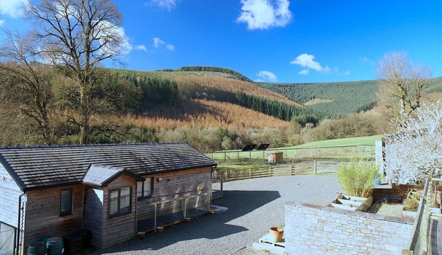 Modern Comfort in Tranquil Farm and Forests