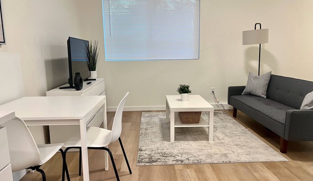 Modern Comfort Meets Stylish Studio