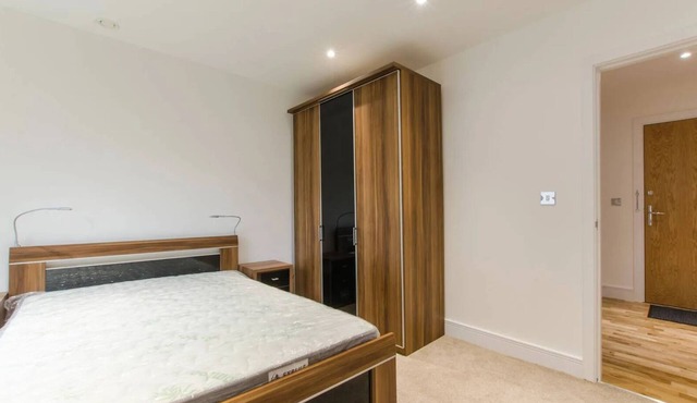 Modern Comfortable Apartment close to Canary Wharf, Stratford and Central London