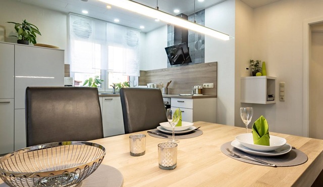 Modern, comfortable vacation apartment with terrace, on the Main Valley cycle path, in Triefenstein