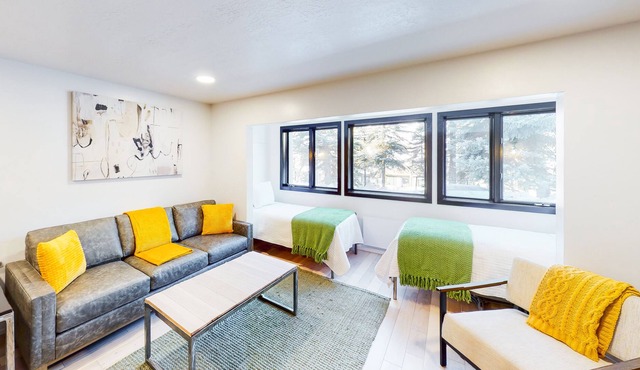 Modern condo with high-speed WiFi, wood-burning fireplace, & private W/D