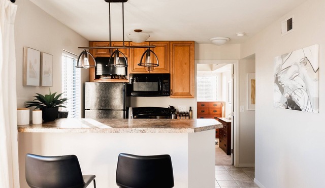 Modern Contemporary Apt | DTC/Boston Commons