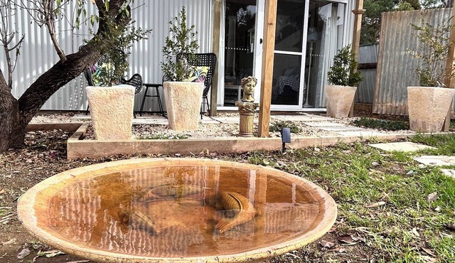 Modern, cosy, studio retreat. 32 square metres of living. Easy access to town.