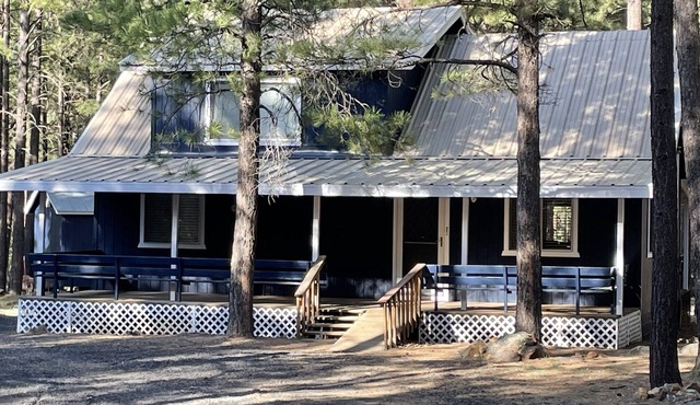 Modern cozy Forrest Lakes Cabin