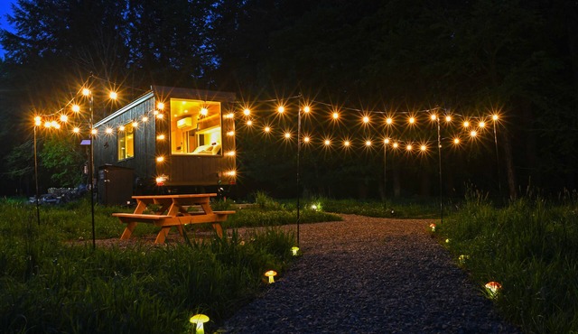 Modern, Cozy, Romantic Tiny Home in the Woods! EV Fast Charging, WIFI, and More!