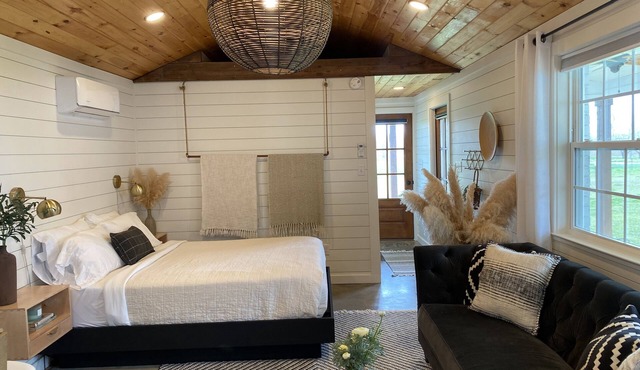 Modern, cozy, Studio Apartment