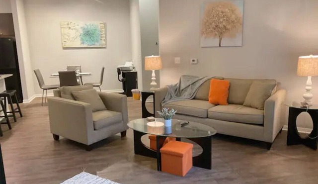 Modern- Cozy Texas Med Center/NRG AREA/Spacious