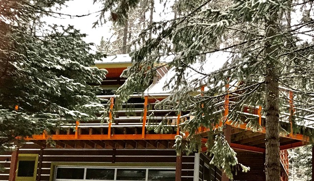 Modern Custom Cabin In Hope