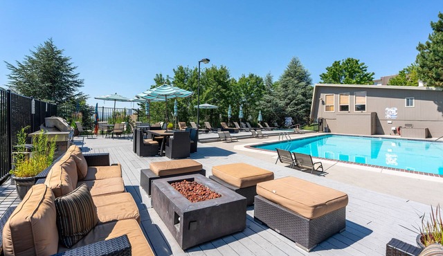 Modern dog-friendly condo with WiFi, shared amenities - pool, gym