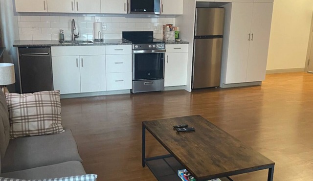 Modern Downtown 1 Bedroom Apartment