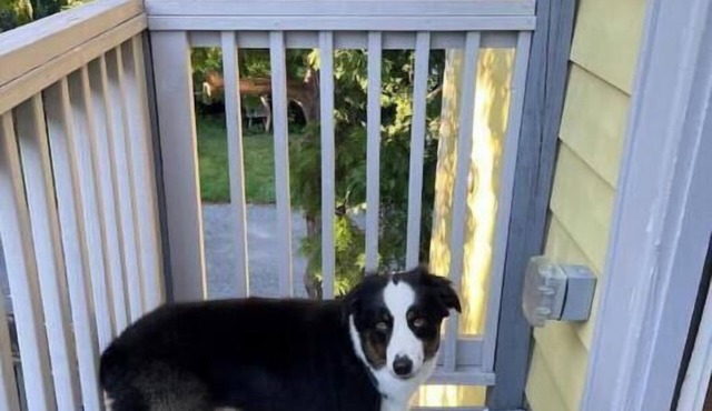 Modern Downtown Flat- Near Church Street, Parking!