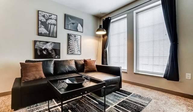 Modern Downtown Luxury Apartment