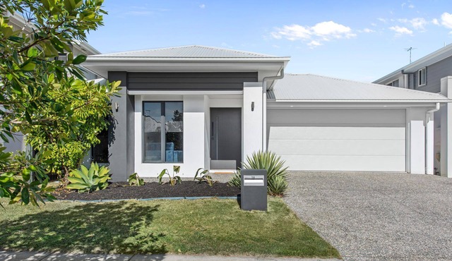 "Modern Family Buccaneer" - Newport Q 4020