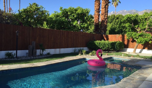 Modern, Family Friendly Palm Springs Oasis of Luxury!