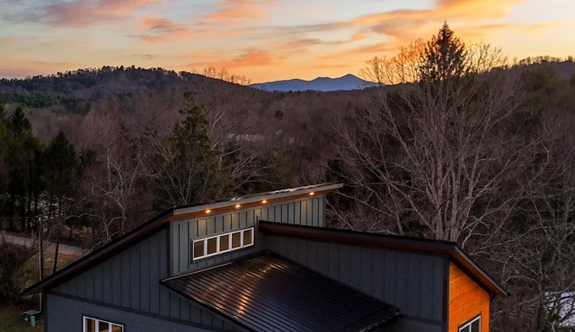 Modern, Family + Pet-Friendly! Mins from Downtown AVL! Firepit, Hot Tub & Games!