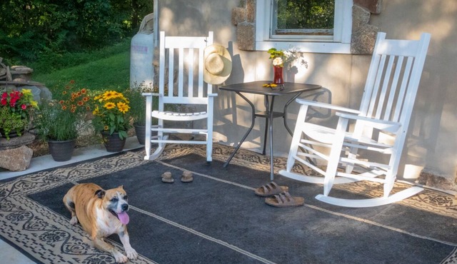 Modern , farmhouse basement, suite, queen bed, efficiency , dogs welcome.