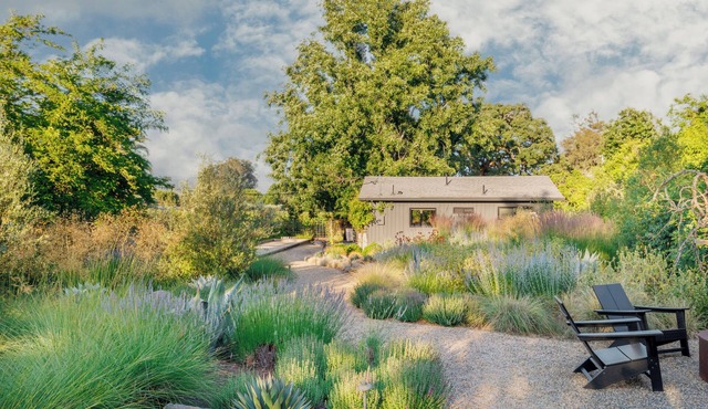 Modern Farmhouse on Vineyard w/Deck, Bocce & Wine Country Views