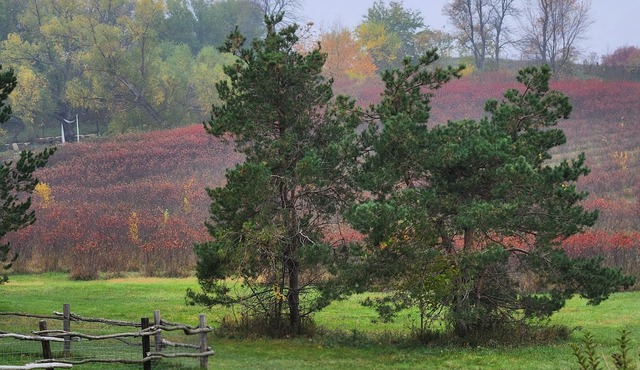 Modern Farmhouse with gorgeous views and lots of farm animals!