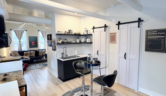 Modern Furnished 2BR in Pilsen Near Medical District & Downtown