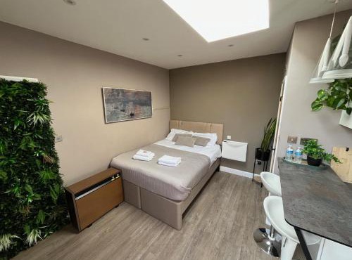 Modern Garden Studio for comfy stay