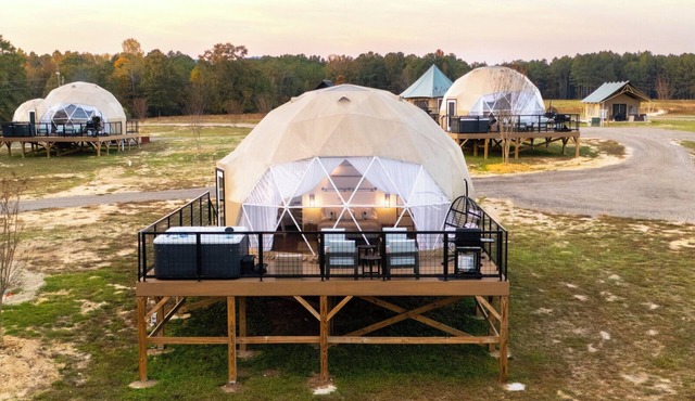 Modern Geodesic Dome: Hot Tub & Lake Views