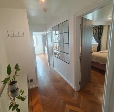 Modern Ground Level Flat