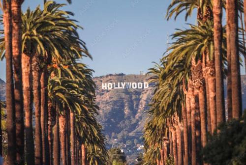 Modern Hollywood Apt with Pool Spa & Great Views