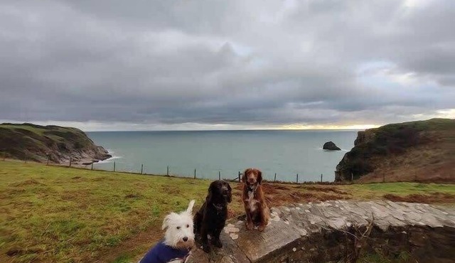 Modern Home & Garden nr Brixham w/Private Parking