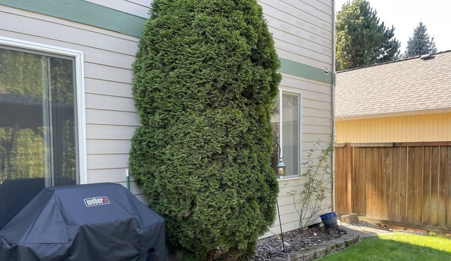 Modern Home in Puyallup WA