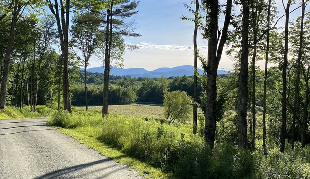 Modern home on the hillside of Stowe